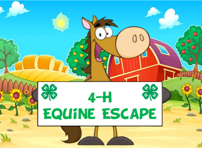 4-H equine escape room hyperlink
